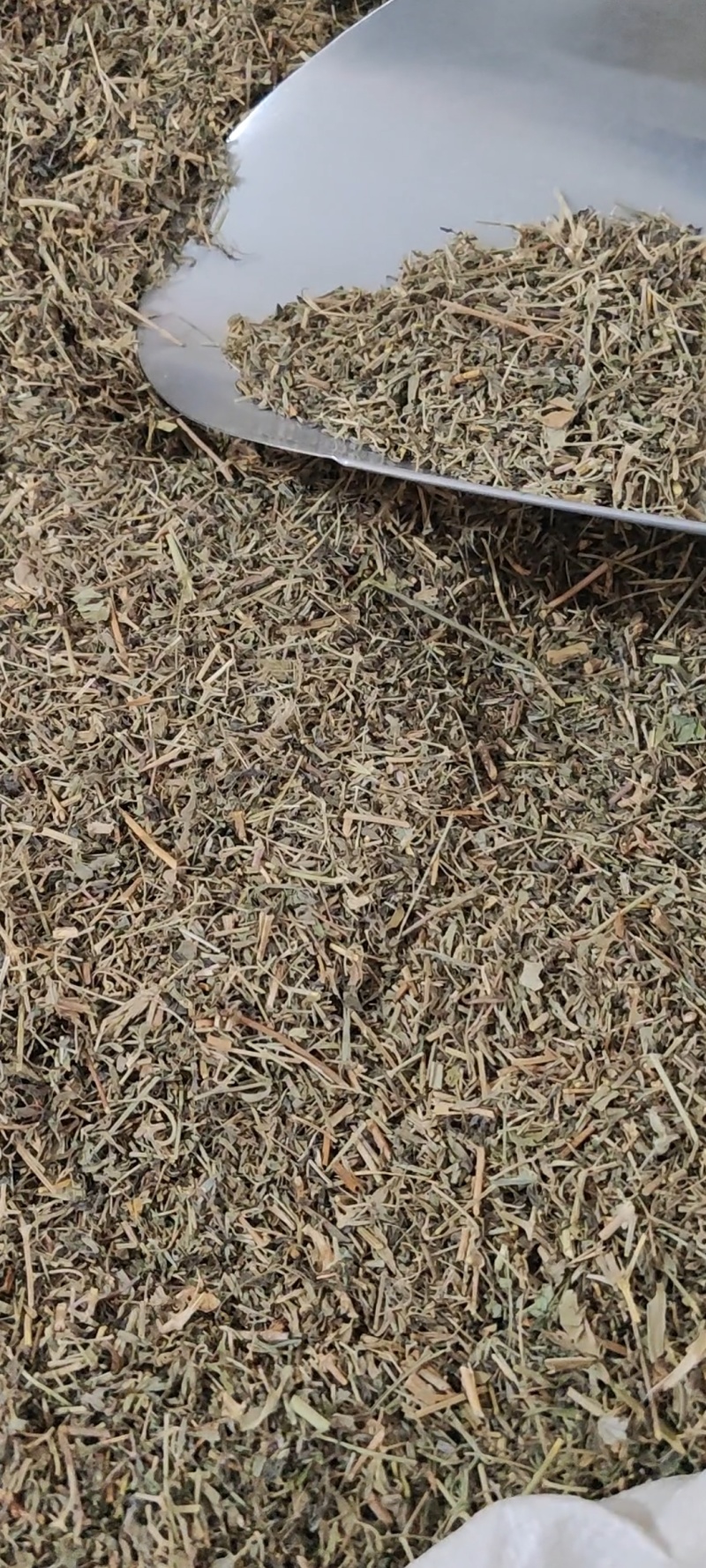 透骨草干货常年经营各种中药材