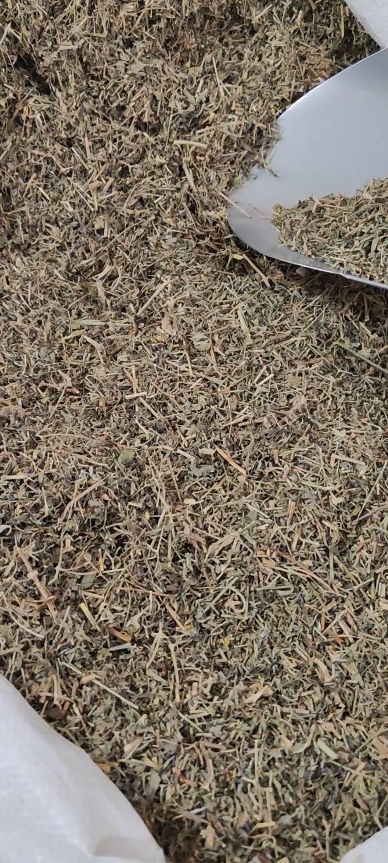 透骨草干货常年经营各种中药材