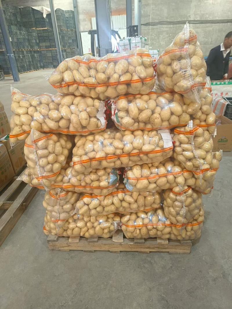 新疆产地V7.、沃土、西森土豆大量批发