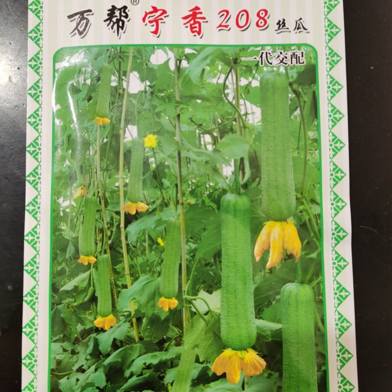 宁香208宁香406香丝瓜种子口感好品质味甜