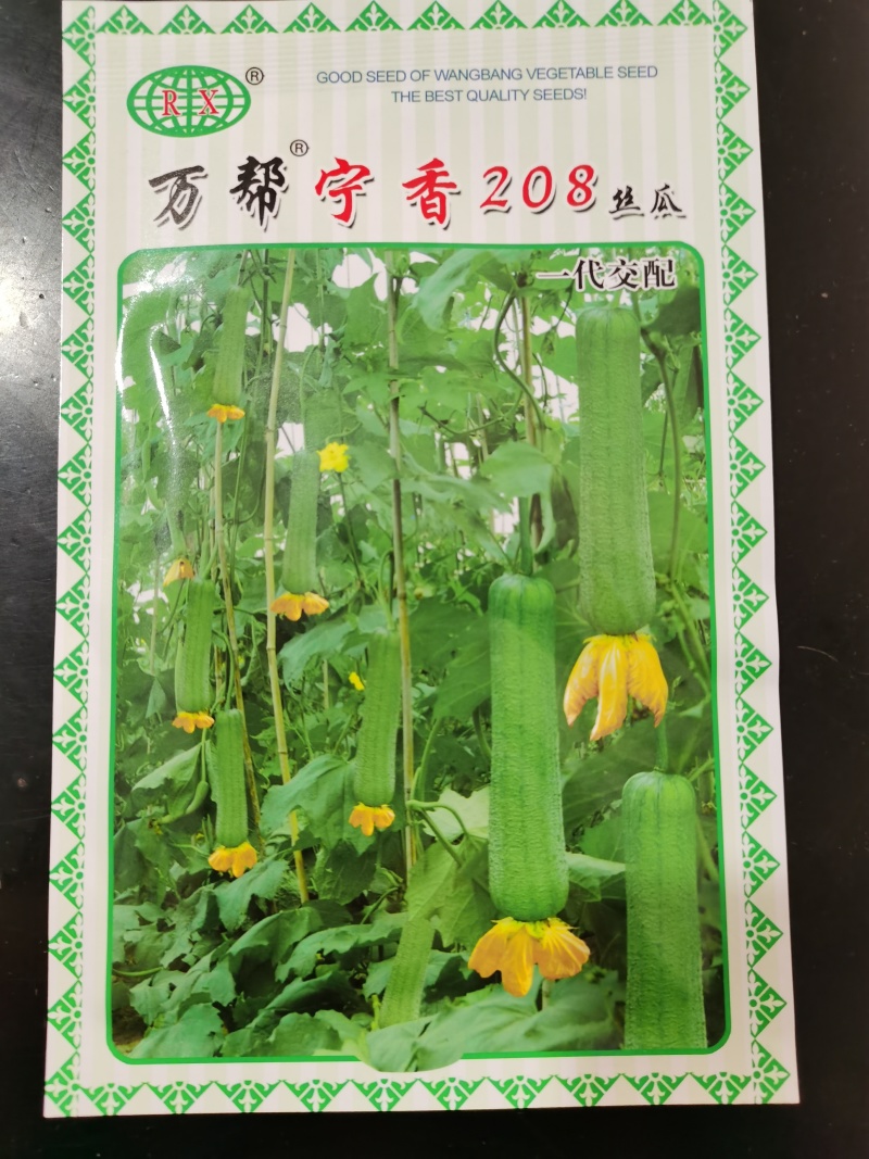宁香208宁香406香丝瓜种子口感好品质味甜