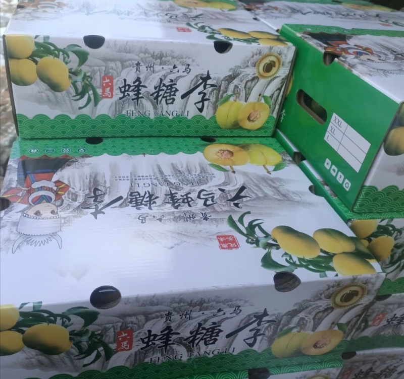 贵州蜂糖李
