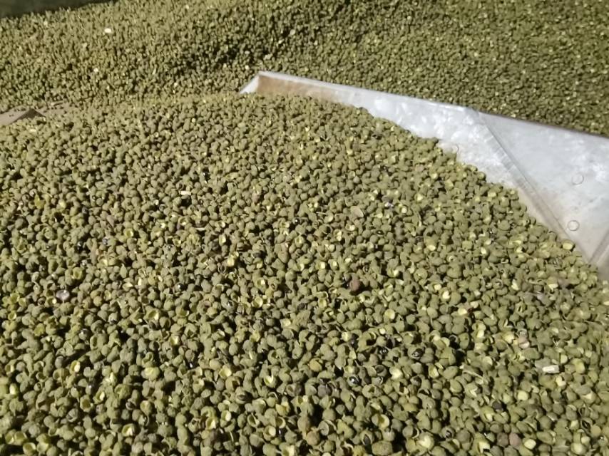 花椒在不同菜品中的应用示意图