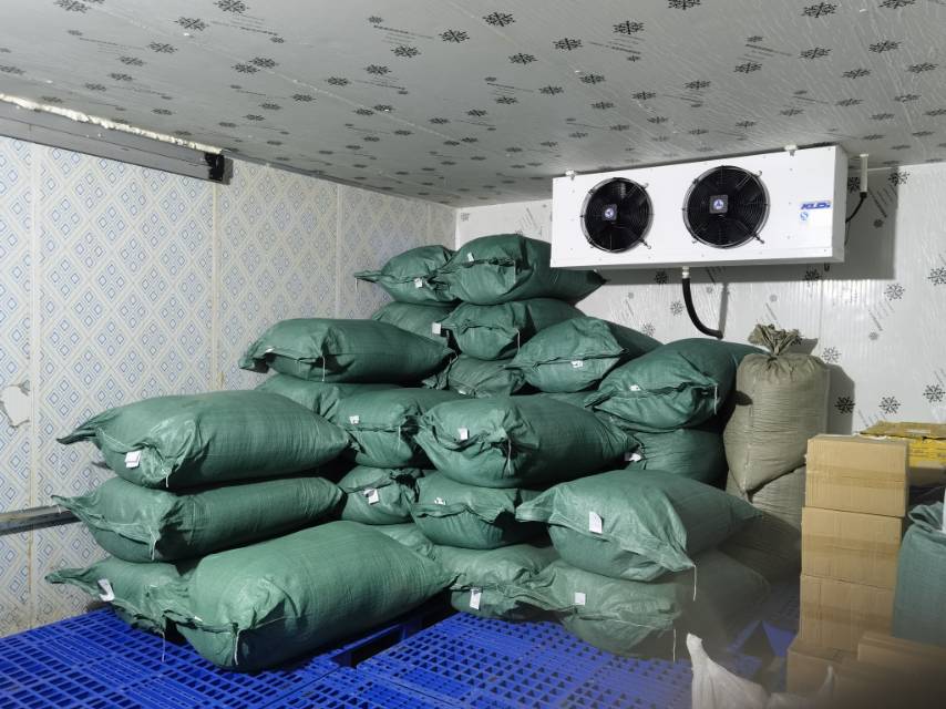 泡椒保存对比图