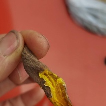 黄丝郁金产地直供