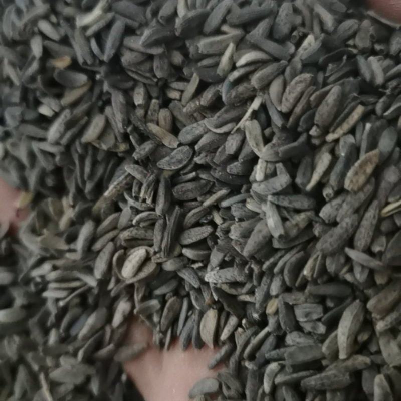 牛蒡子大力子泽润中药批发零售各种中药材
