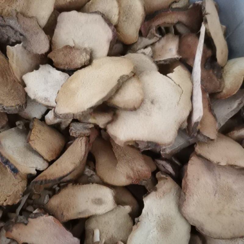 土茯苓好粉质土茯苓泽润中药批发零售各种中药材