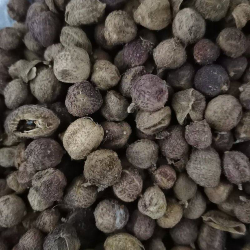 砂仁正品阳春砂仁泽润中药批发零售各种中药材