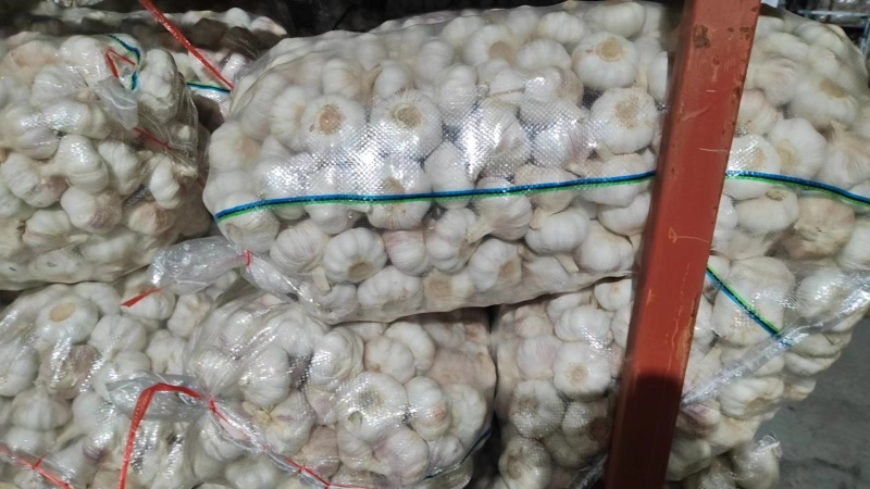 邳州大蒜邳州蒜专业基地直发