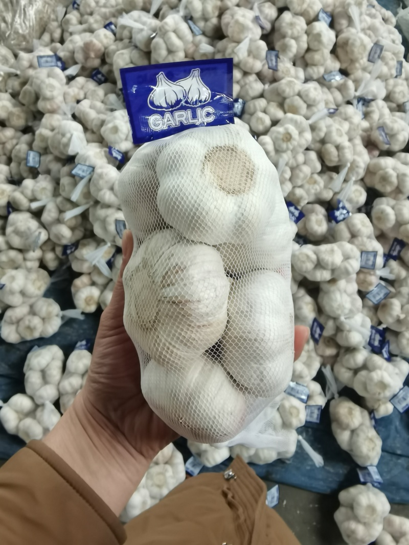 邳州大蒜邳州蒜专业基地直发