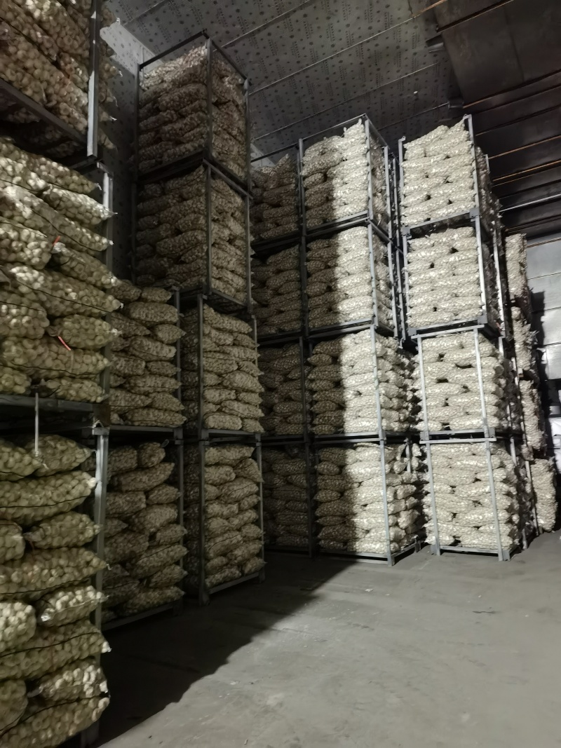 邳州大蒜邳州蒜专业基地直发