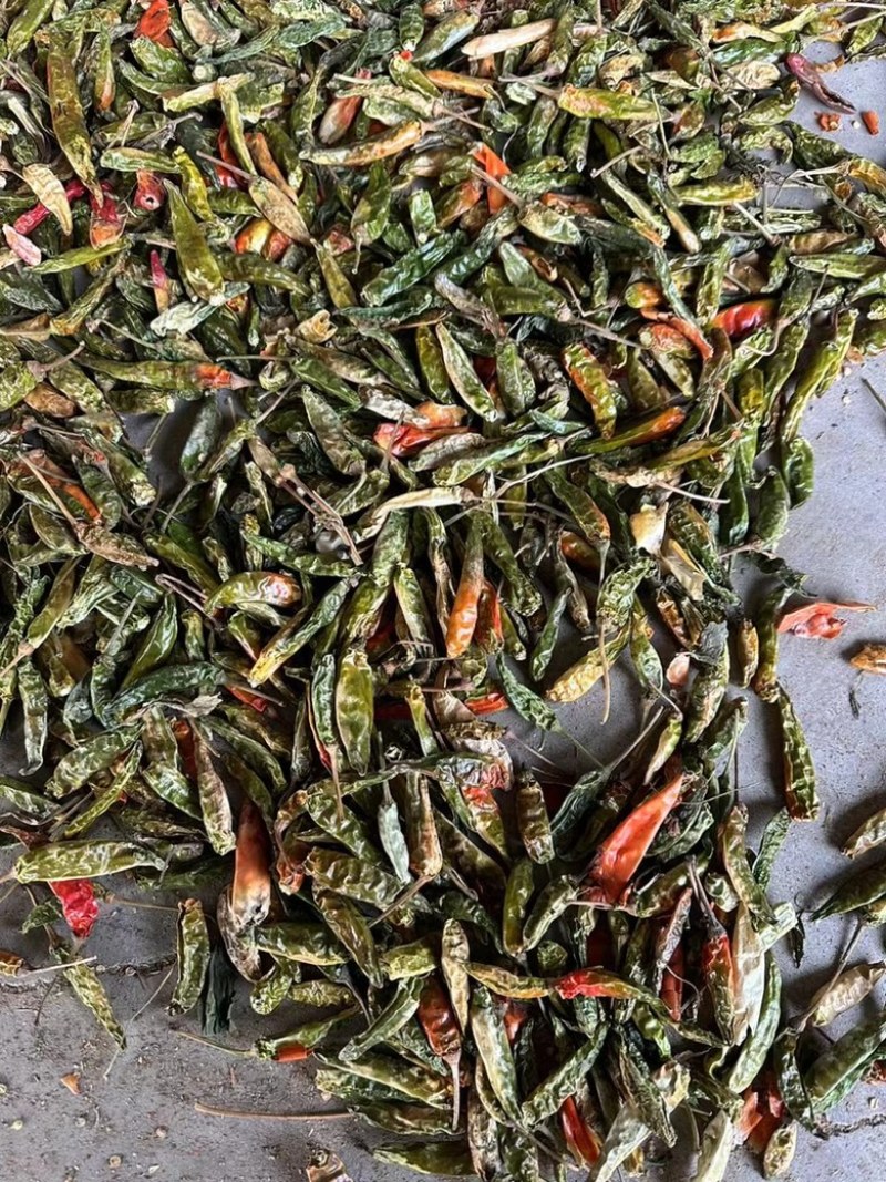 干辣椒