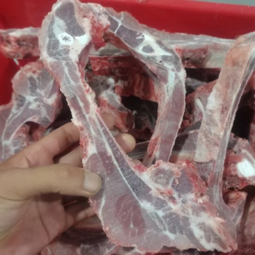猪排骨肋排条新货手续齐全厂家直发量大价优