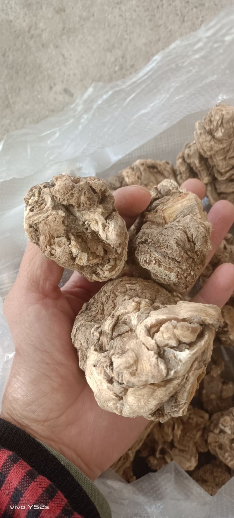当归正品保障***欢迎电话咨询