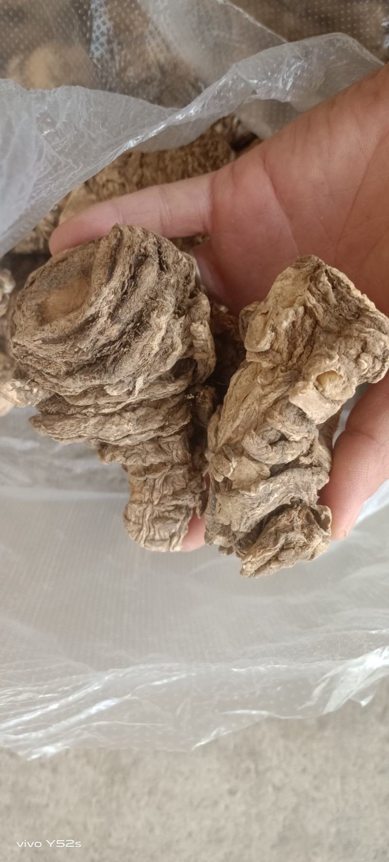 当归正品保障***欢迎电话咨询