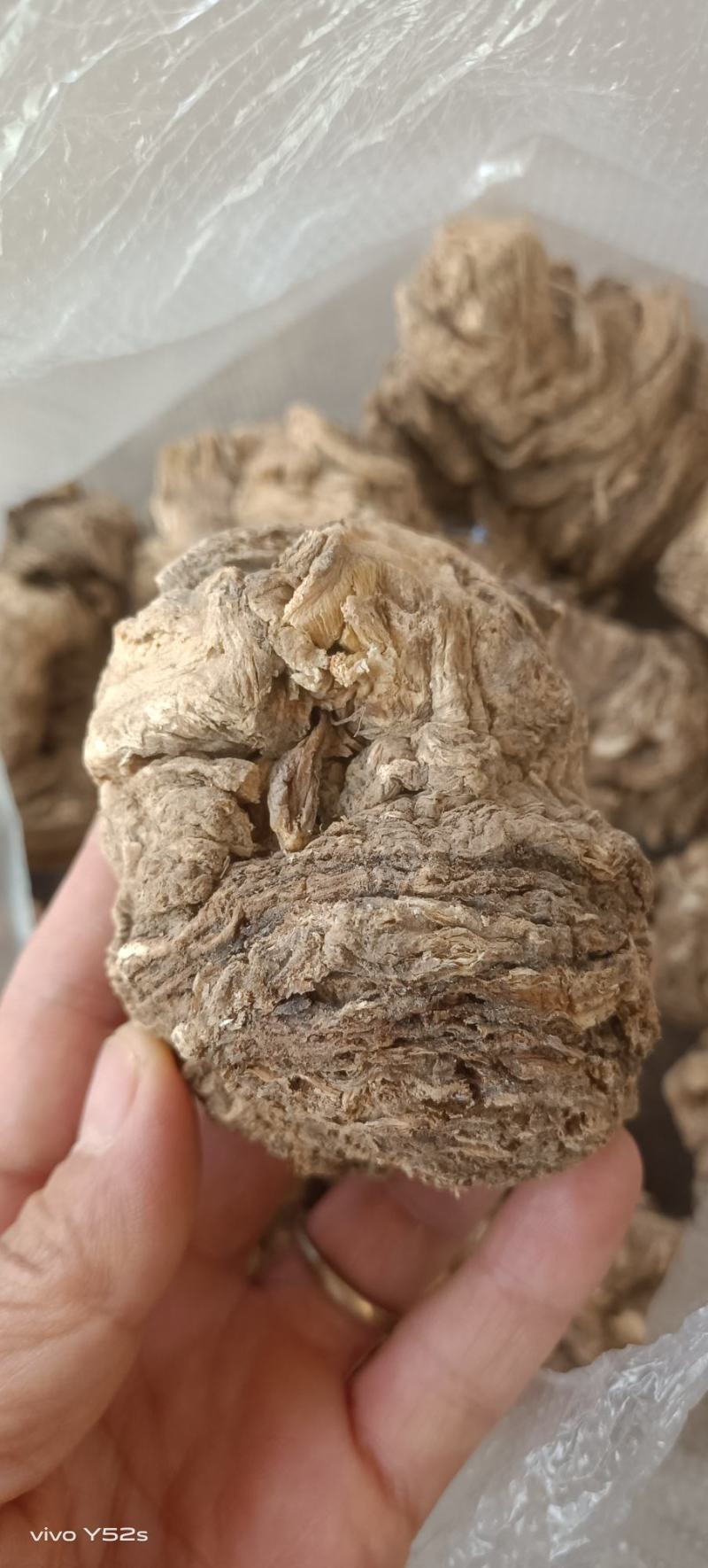 当归正品保障***欢迎电话咨询