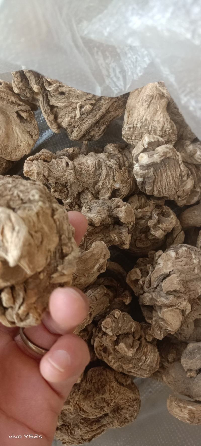 当归正品保障***欢迎电话咨询