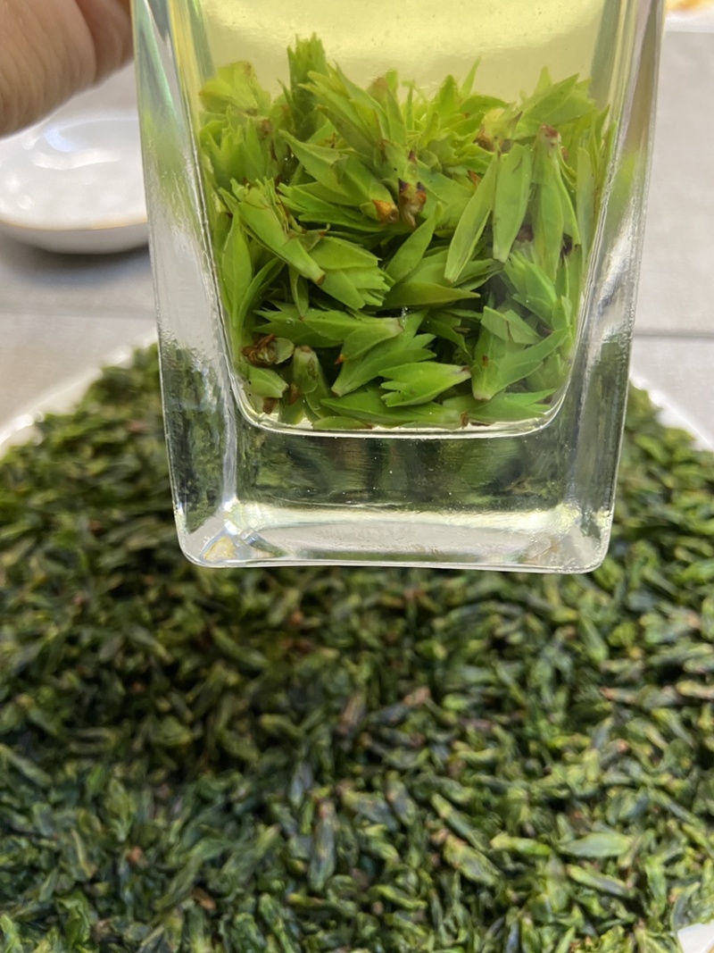 青山绿水小叶苦丁茶