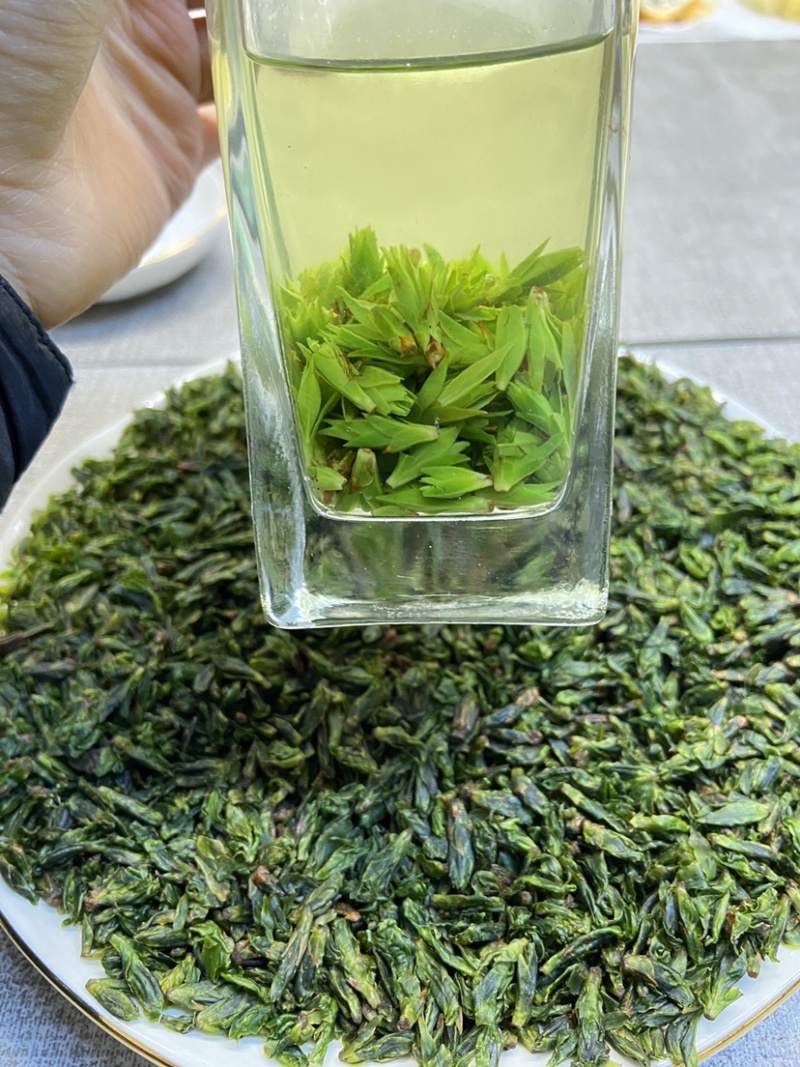 青山绿水小叶苦丁茶