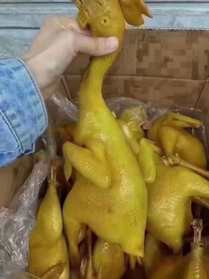 盐焗鸡手撕鸡白切鸡7成熟全熟都是现货批发
