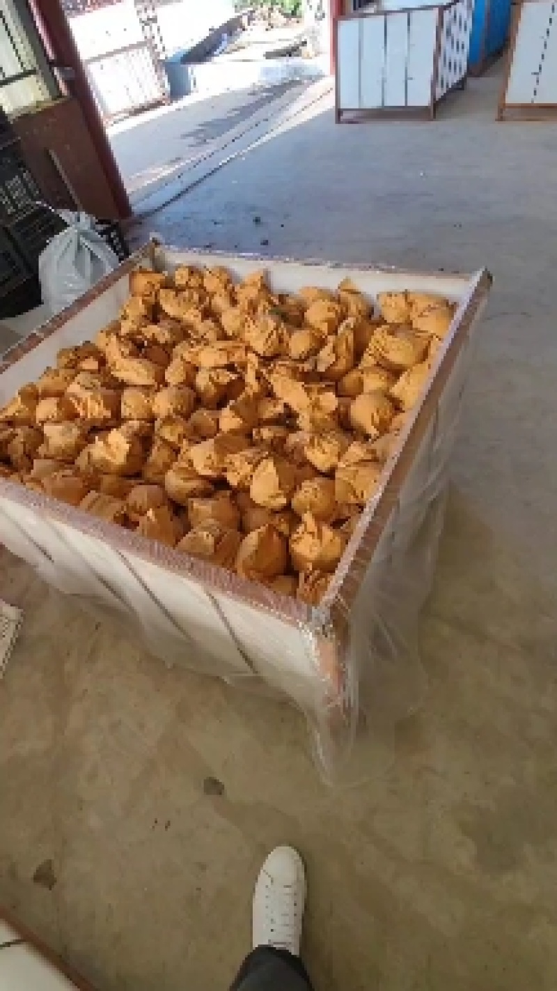 纯头茬秋月梨，90以上大果，量少勿扰