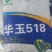 马齿粒细轴硬质抗病抗虫玉米种抗旱抗病抗倒