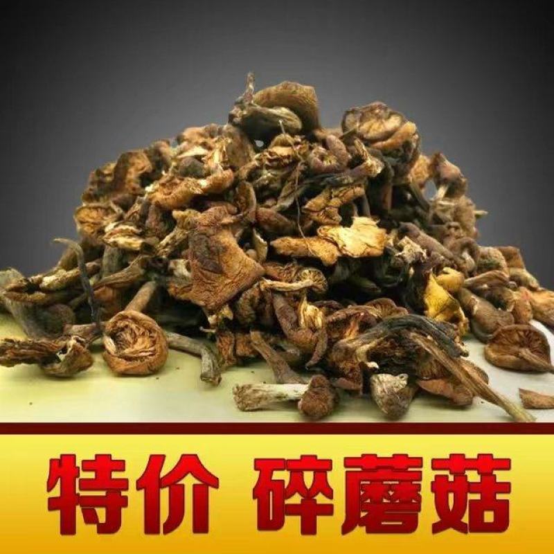 东北特产野生碎榛蘑质量保证，品种纯正，假一赔十