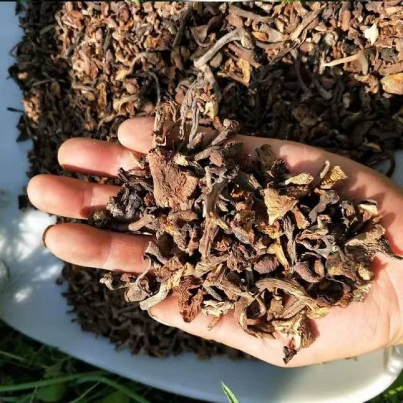 东北特产野生碎榛蘑质量保证，品种纯正，假一赔十