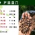 东北特产野生碎榛蘑质量保证，品种纯正，假一赔十