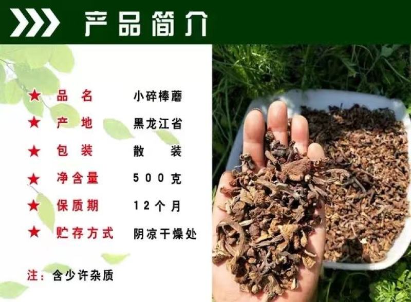 东北特产野生碎榛蘑质量保证，品种纯正，假一赔十