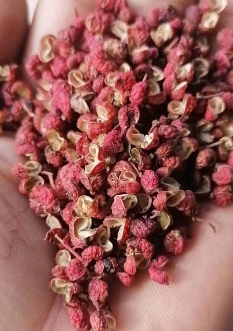 陕西大红袍花椒批发产地直销净颗粒干红花椒麻味纯正