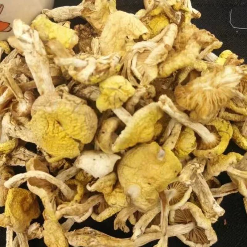东北特产山珍野生小黄蘑农家晾晒天然美味营养品500g包邮