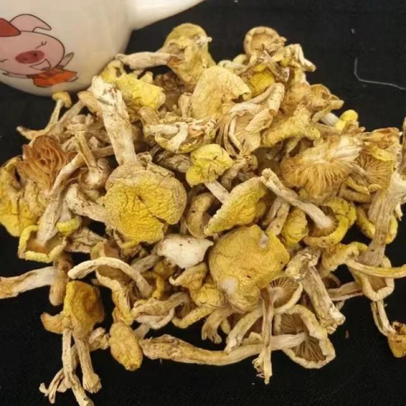 东北特产山珍野生小黄蘑农家晾晒天然美味营养品500g包邮