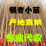 银杏树小苗，产地现挖现发，量大，保证质量，信比金坚