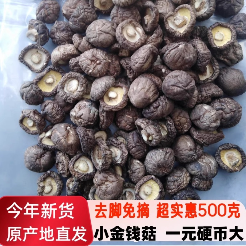 河南香菇干香菇食用菌808香菇香气浓郁壁厚个头大干净耐长储存