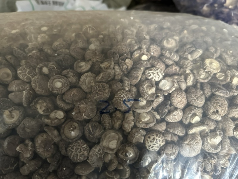 河南香菇干香菇食用菌808香菇香气浓郁壁厚个头大干净耐长储存