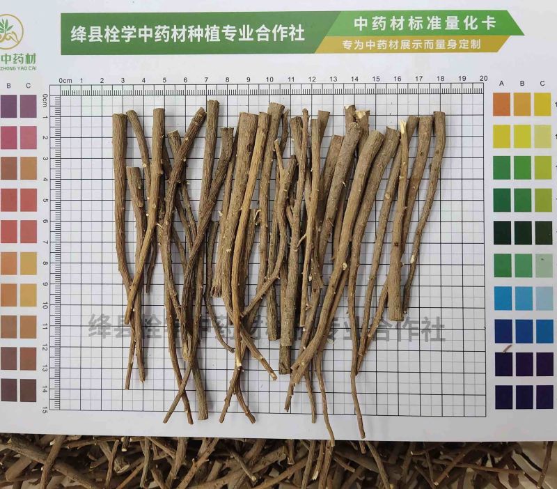北柴胡（出口精品）去头去尾去侧枝去黑心一手货源