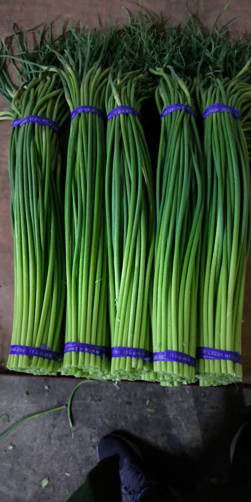 蒜苔精品白帽蒜苔绿帽蒜苔代发市场电超加工