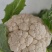 1-3斤菜花，花菜乳白紧花，市场，电商，产地直供全国代发