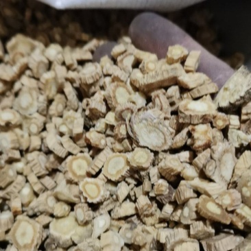 防风内蒙防风泽润中药批发零售各种中药材