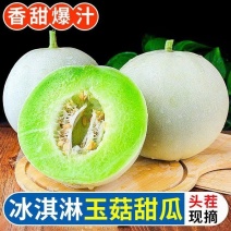 山东冰淇淋玉菇甜瓜一件代发对接各大电商平台商超多多量大价