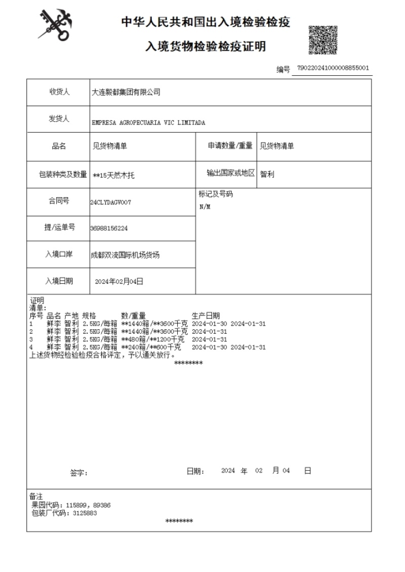 智利樱桃李进口李子澳洲李子长期供货支持代发社区团购