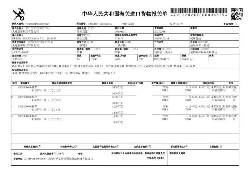 智利樱桃李进口李子澳洲李子长期供货支持代发社区团购