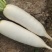 湖北白萝卜表皮干净无伤无裂无疤无黑点提供透明袋网袋有设备视频