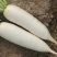 湖北白萝卜表皮干净无伤无裂无疤无黑点提供透明袋网袋有设备视频