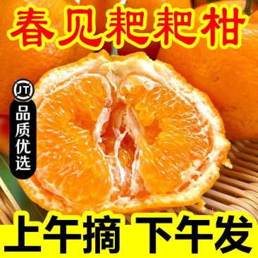 [四川春见]耙耙柑当季四川耙耙柑新鲜水果整箱批发5斤