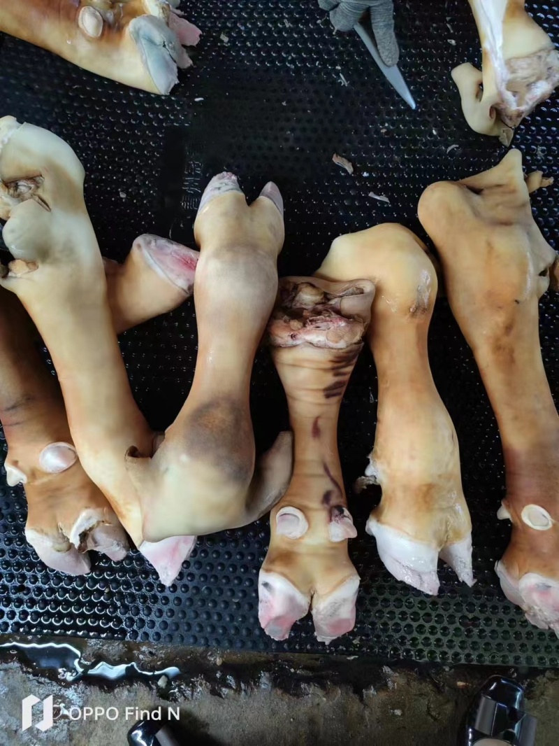 火烧毛，生牛蹄，源头直发，价格低