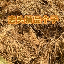 山东产地去头精品个子徐长卿现货现发可视频看货