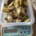各规格鲍鱼肉，黄金鲍各种鲍鱼制品量大价格从优欢迎来厂参观