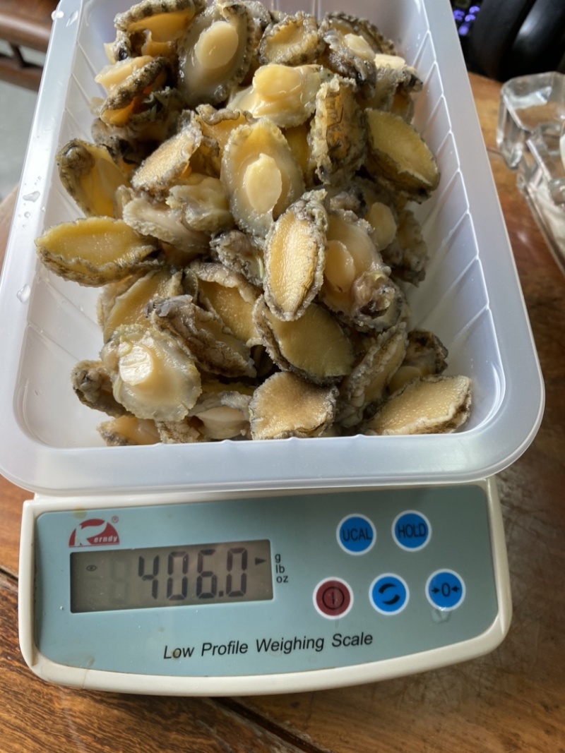 各规格鲍鱼肉，黄金鲍各种鲍鱼制品量大价格从优欢迎来厂参观